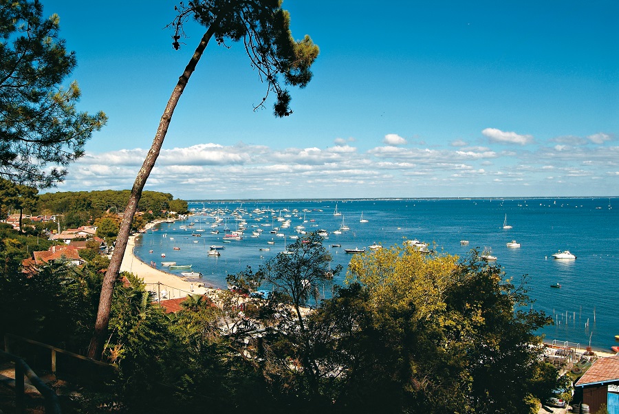 A la découverte du bassin d'arcachon